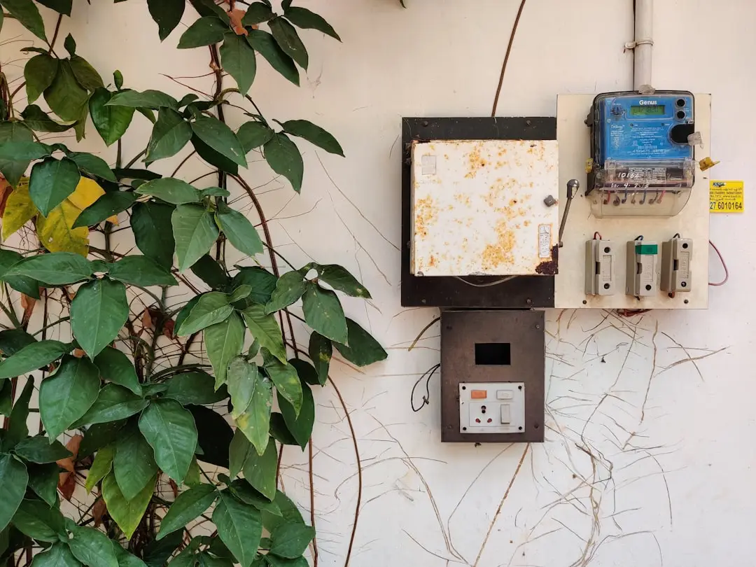 A weathered, rusted electrical meter box and disconnect panel mounted on an exterior stucco wall, with a yellow utility tag on the meter and loose wiring running along the wall, overtaken by dense green ivy and dry, tangled vines below, showing the kind of outdated and overgrown setup that calls for an experienced electrician near me before it becomes a bigger hazard.